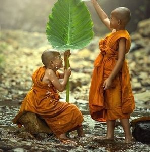 Meet your Posher, Ingrid